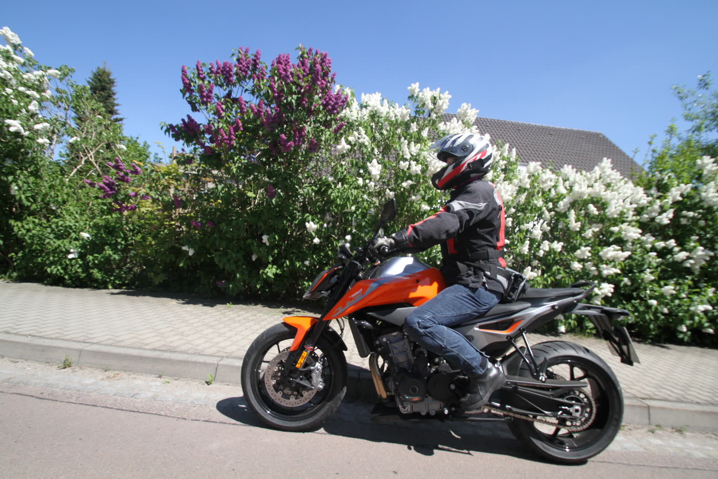 Motorrad fährt an blühendem Flieder durch eine Ortsdurchfahrt